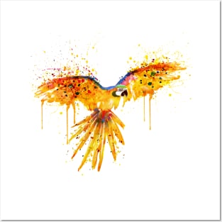 Flying Parrot watercolor Posters and Art